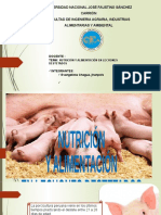 Nutrición y Alimentación en Lechones Destetados