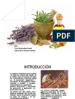 Plantas_medicinales_Seminario_Final_Silva_Nataly-convertido