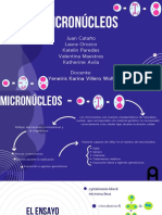Micronúcleos Diapositivas