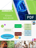 Acidos Nucleicos