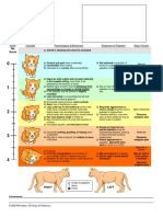 CSU Acute Pain Scale Kitten