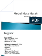 Modul Mata Merah