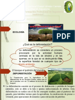 Diapositivas de Ecologia Deforestación