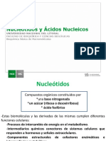 11. Nucleótidos y Ácidos Nucleicos 2018