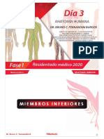 RM 20 F1 - Anatomía Humana 3 - Online