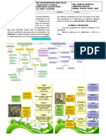 GUIA# 9 ORGANIZACION DE LOS SERES VIVOS11° 3 PERIODO.docx (1)