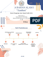 Kelompook 2 - S1-4B - PPT Xanthon