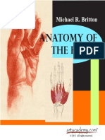 Anatomy of The Hand 30p