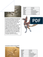 Archaeopteryx Lithographica ("Ancient Wing")