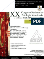 Congreso SMPV 2011