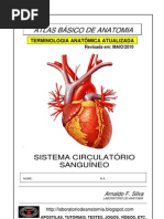 Apostila Sistema CirculatórioRevisada