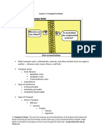 Lesson 3. Transport in Plants