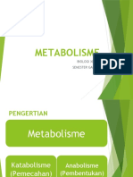 METABOLISME