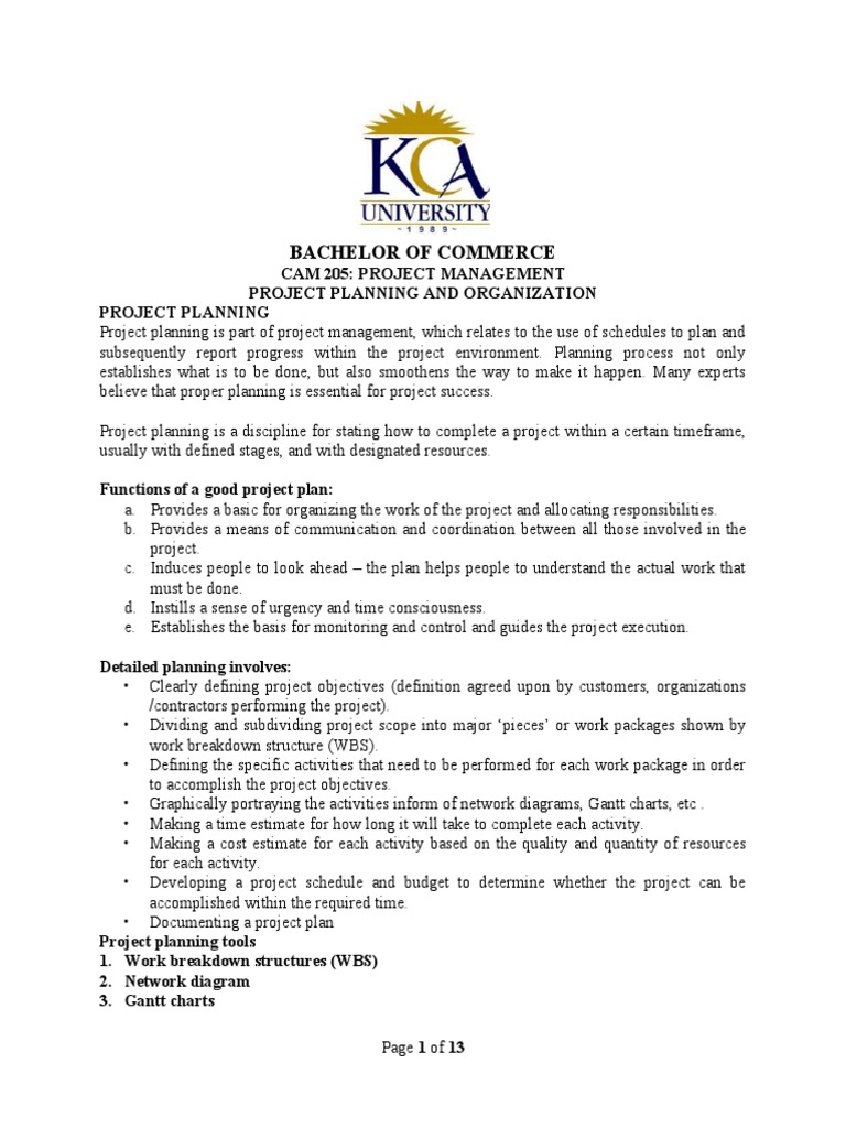 Project Planning Notes PDF Project Management