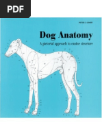 Dog Anatomy: A Photo Atlas | PDF