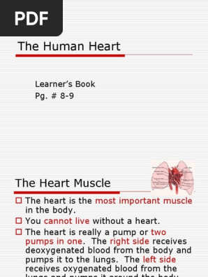 The Human Heart