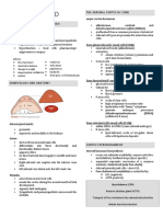 Adrenal Gland: The Adrenal Cortex by Zone