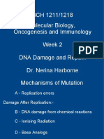 BCH 1211 04 DNA Rep4 - Student