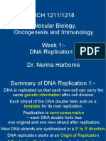 BCH 1211 02-03 DNA Rep2 - Student