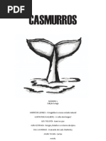 Fanzine Casmurros
