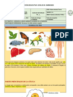 1° Guía de Naturales HV 5to CMS 2.021