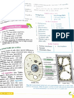 Living Parts: Plant Parts Ofa Cell