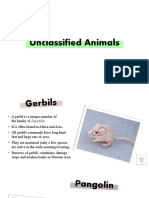 Unclassified Animals