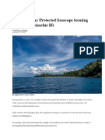 BMIRROR - Mayuga - Sarangani Bay Protected Seascape Teeming With Coastal Marine Life