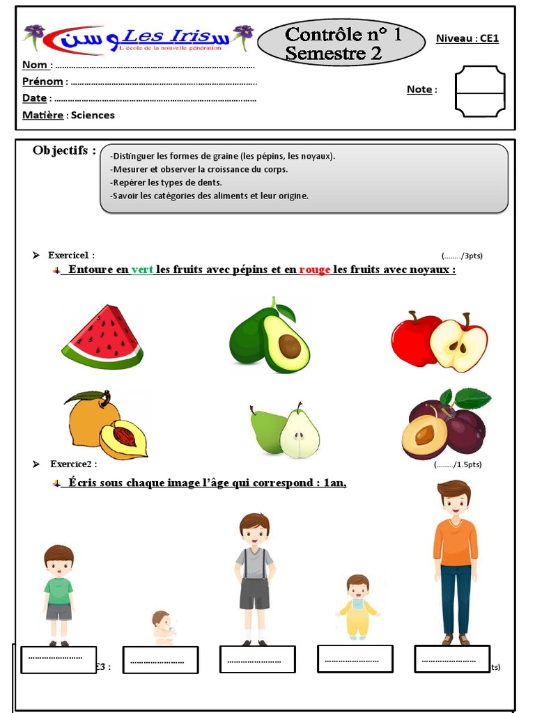 Évaluation de Sciences CE1 : Alimentation et Croissance | PDF | Bien ...