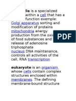 Cell Golgi Apparatus Mitochondria: Organelle Is A Specialized