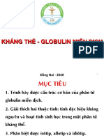 Khang The Globulin Mien Dich