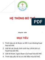 He Thong Bo The