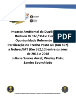 PE-18-Impacto-Ambiental-da-Duplicação-da-Rodovia-Br