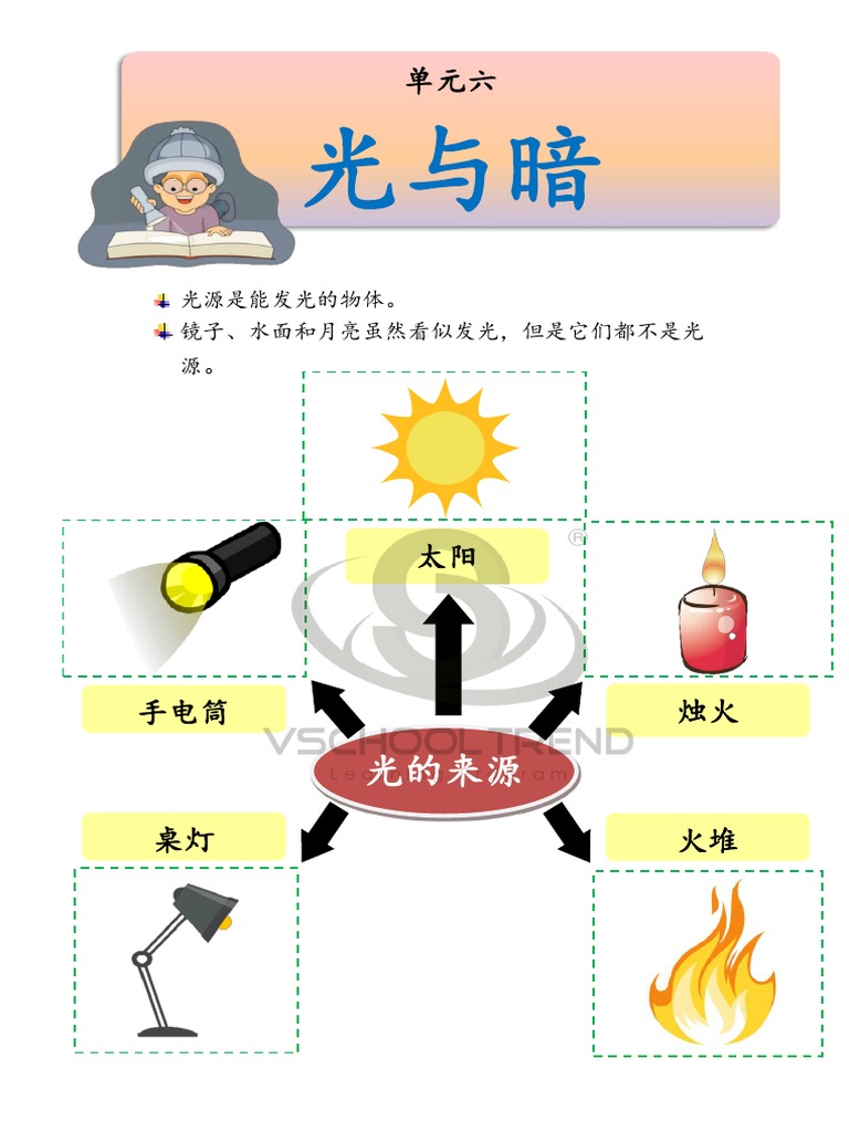 2 年科学-光与暗 | PDF