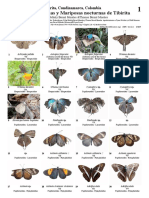 507_colombia_diurnal_butterflies_and_night_moths_of_tibirita