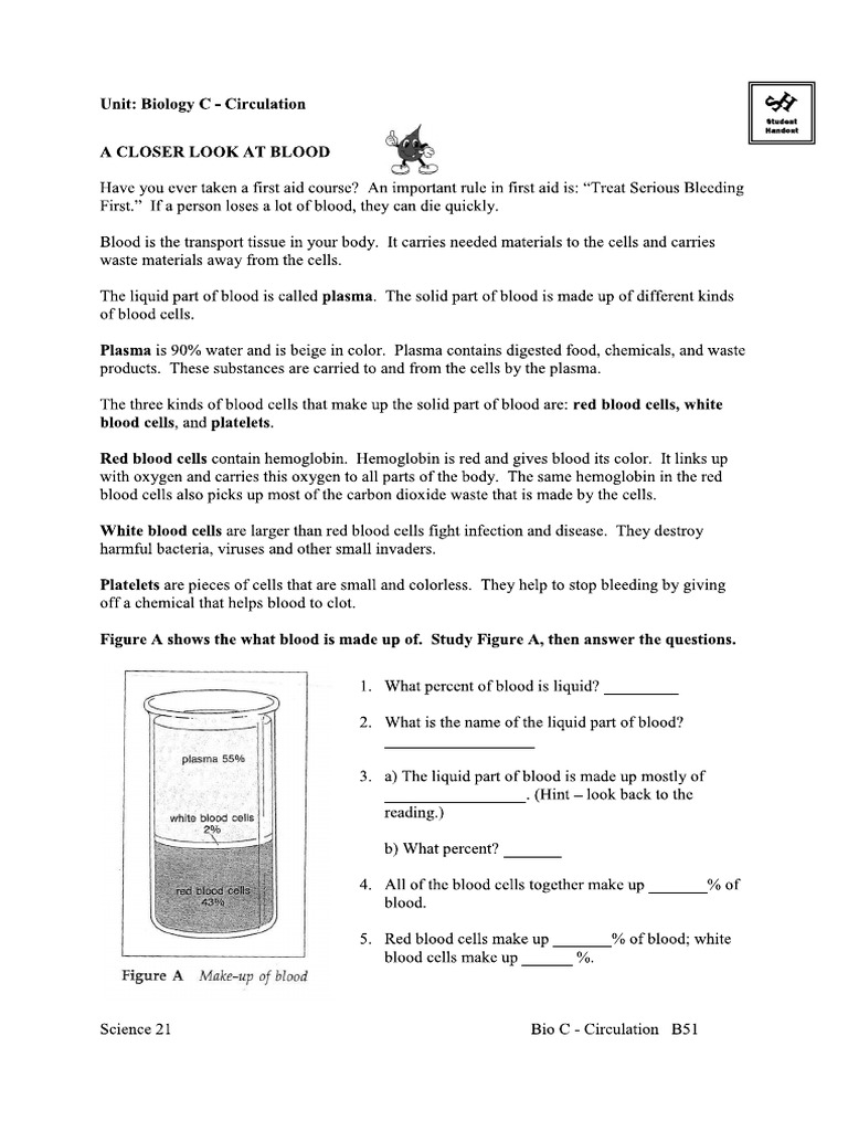 BLOOD HANDOUT Workshet | PDF