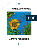 Adauto Peregrino - Néctar da Divindade
