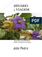 João Pedro - A Viagem