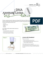 Extraccion DNA - En.es