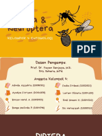 Kelompok 4 Entomologi - Diptera Dan Neuroptera