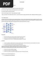 Lesson Plan: Observation