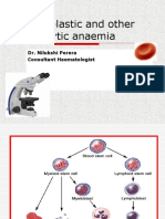 Megaloblastic and Other Macrocytic Anaemia: Dr. Nilukshi Perera Consultant Haematologist