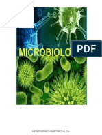 Microbiología: Introducción a los microorganismos