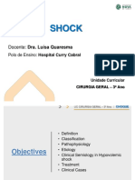 Shock: Docente: Dra. Luísa Quaresma