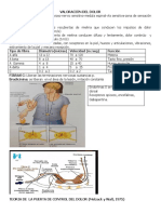 Parcial 2 Corte Semiologia