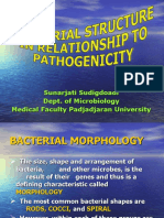 Sunarjati Sudigdoadi Dept. of Microbiology Medical Faculty Padjadjaran University