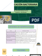 Tema 12. Identificación Microbiana y Bacteriana