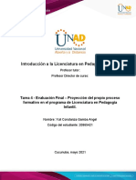 Formato 4 - Formato para La Elaborar La Proyección Del Propio Proceso Formativo en El Programa de LIPI