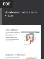 Anatomía y Fisiología Anorectal | PDF | Recto | Sistema digestivo