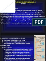 B) Complex Lipid Metabolism